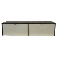 Florence Knoll, Midcentury Hanging Cabinet, model 121 W-1.walnut