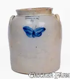 Julius Norton, JULIUS NORTON / BENNINGTON, VT Stoneware Butterfly Jar, c1840, c1840, Stoneware