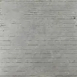 Makiko Nakamura, Untitled