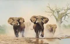 Anthony Gibbs, Charging Elephants, Oil on canvas