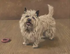 P. K. C Jackson, Portrait Of A Terrier, 1970, Oil on board