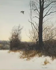 Phillip Murphy, Woodcock In Flight, Watercolour