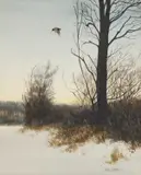 Phillip Murphy, Woodcock In Flight, Watercolour