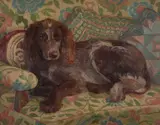 Bloomsbury Group, Portrait Of A Spaniel On A Sofa, Oil on board