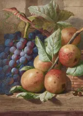 Charles Henry Slater, Still Life Of Fruit And Vines, Watercolour Framed but without glass