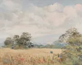 Bill Voss, Cornfield In Suffolk, Oil on canvas board