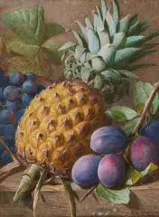 Charles Henry Slater, Still Life Of A Pineapple, Grapes And Plumbs, Watercolour heightened with white