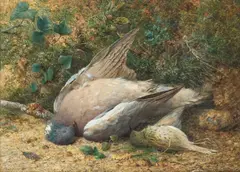 Harold Sutton Palmer, Still Life Of Game, Pigeon And Thrush, 1869, Watercolour heightened with white