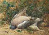 Harold Sutton Palmer, Still Life Of Game, Pigeon And Thrush, 1869, Watercolour heightened with white