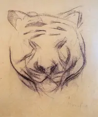 Ludvig Karsten, Tigerhode, Kull på papir, lysmål