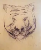 Ludvig Karsten, Tigerhode