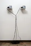 José Alejandro Restrepo, Paso del Quindío II, 1999, Videoinstalación
