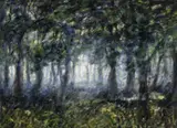 Antonio Barrera, Bosque, [1982], Óleo sobre papel entelado