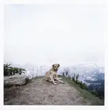 Alec Soth, Bogotá, 2003, Fotografía digital