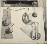 Lucy Tejada, Sin título, 1959, Tinta sobre papel.