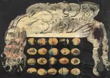 Norman Mejía, Mujer acostada sobre los huevos, 1963, Collage y pintura sobre cartón entelado.