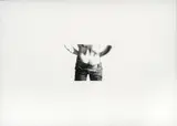 Miguel Ángel Rojas, Pelito, 1974, Aguafuerte sobre papel. Ejemplar Prueba de artista