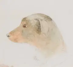 Study Of The Artist's Dog Twitch by Thomas Sewell Robins Nws, pencil and watercolour, sold May 2021