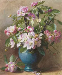Charles Henry Slater, Apple Blossom, watercolour and bodycolour