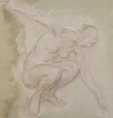 William Shackleton, Study For 'Grass Of Parnassus', chalks over pencil 38 cm by