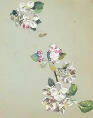 Alfred William Strutt, A Pair Of Flower Studies, watercolour with bodycolour on tinted paper Largest: