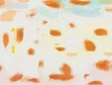 Robert Hodgins, Studio Jessica, colour lithograph