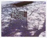 David Goldblatt, Tymon's Sign, Oaklands, Jhb, 1999