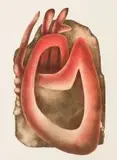 Wendy Vincent, Red Abstract
