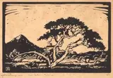 Uniegebou en Doringboom (Nilant 37) by Jacobus Hendrik Pierneef, linocut, sold Nov 2017