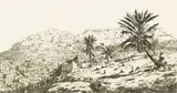Tinus de Jongh, Cape Town from Signal Hill, etching