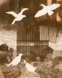 Elsabe Schady, Four more, etching