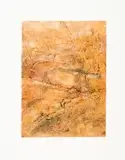 Kim Berman, At Taung, colour etching and embossing
