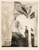 David Hockney, Edward Lear, etching and aquatint