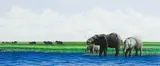 Jacqui Castle, Elephants across the plains of Africa, mixed media on paper