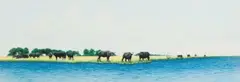 Jacqui Castle, Buffalo at the Water, mixed media on paper