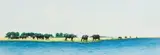 Jacqui Castle, Buffalo at the Water, mixed media on paper