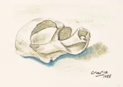 Seashell by Peter Clarke, mixed media on paper, sold Nov 2017