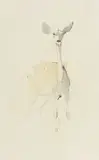 Keith Joubert, Young Kudu