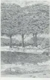 Bowen Boshier, Dreaming of the hinterland 1, pencil on paper, in artist's carved frame