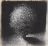 Paul Emsley, Bush