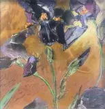 Louis Jansen van Vuuren, Irises
