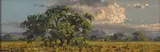 Landscape with Tree by Otto Klar, oil on board, sold Nov 2017