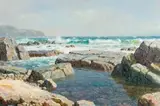 Roy Taylor, Near Transkei Coast, oil on board