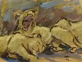 Hennie Niemann jnr, Lions