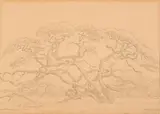 Jacobus Hendrik Pierneef, Pontdrif, Limpopo, pencil on paper