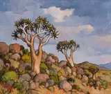 Conrad Theys, Kokerbome (Quiver Trees), Namakwaland
