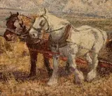 Harry Fidler, Harvesting