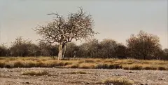 John Meyer, The Salt Pan, mixed media on board