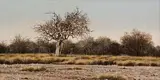 John Meyer, The Salt Pan