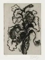 Iris by William Kentridge, aquatint, offered Nov 2017